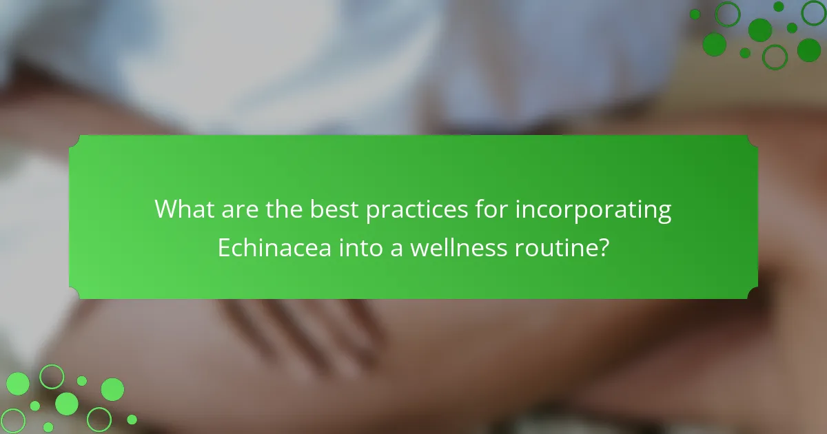 What are the best practices for incorporating Echinacea into a wellness routine?