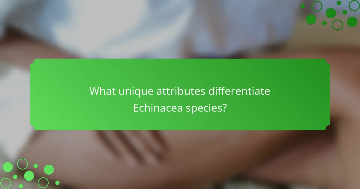 What unique attributes differentiate Echinacea species?