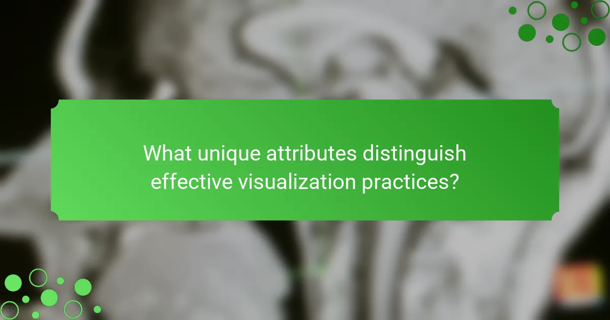 What unique attributes distinguish effective visualization practices?