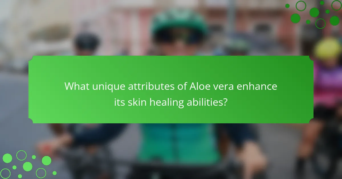 What unique attributes of Aloe vera enhance its skin healing abilities?